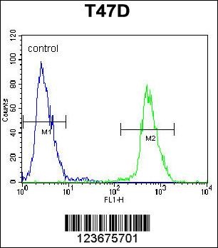 NUP210 Antibody