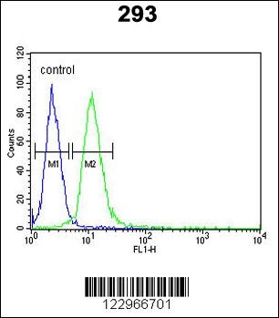 AIFM1 Antibody