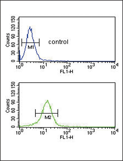 COL5A2 Antibody