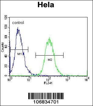Aurora-A Antibody