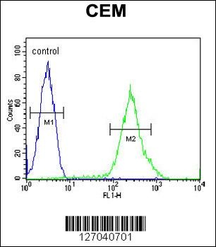 RCL Antibody