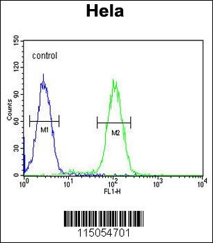 HRASLS3 Antibody