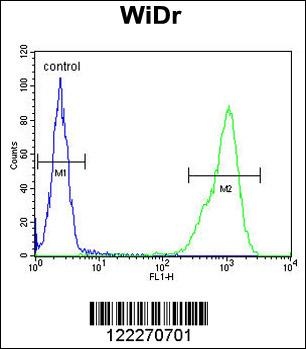 TPPP3 Antibody