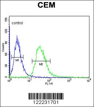 TSPAN7 Antibody