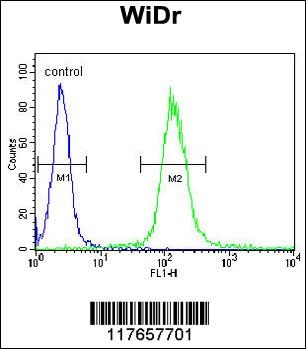 HSPD1 Antibody