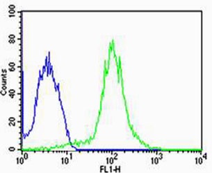 FBXL17 Isoform 2 Antibody