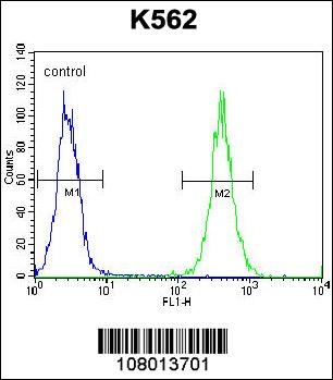 EIF2C2 Antibody