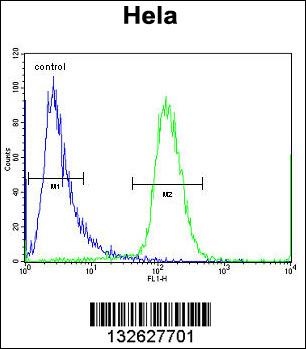SCHIP1 Antibody