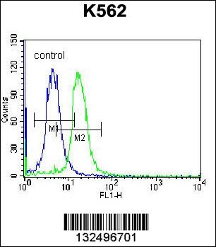 STARD5 Antibody