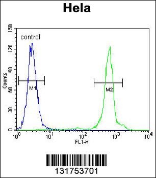 UQCRFS1 Antibody