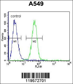 COP1 Antibody