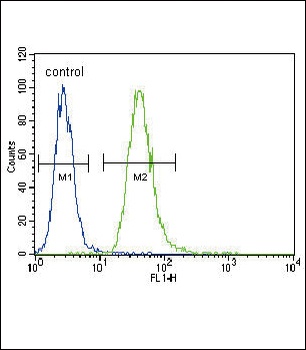 TNFR-S274 Antibody
