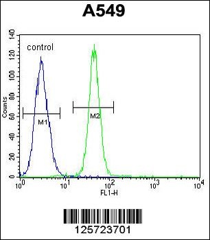 FBXO24 Antibody
