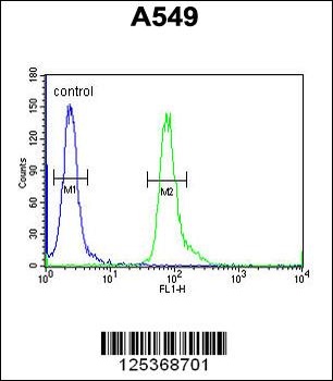 CT112 Antibody