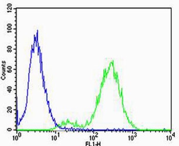 CB2 Antibody