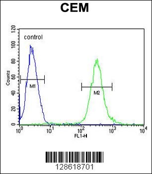 MCAF2 Antibody