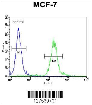 AVPI1 Antibody