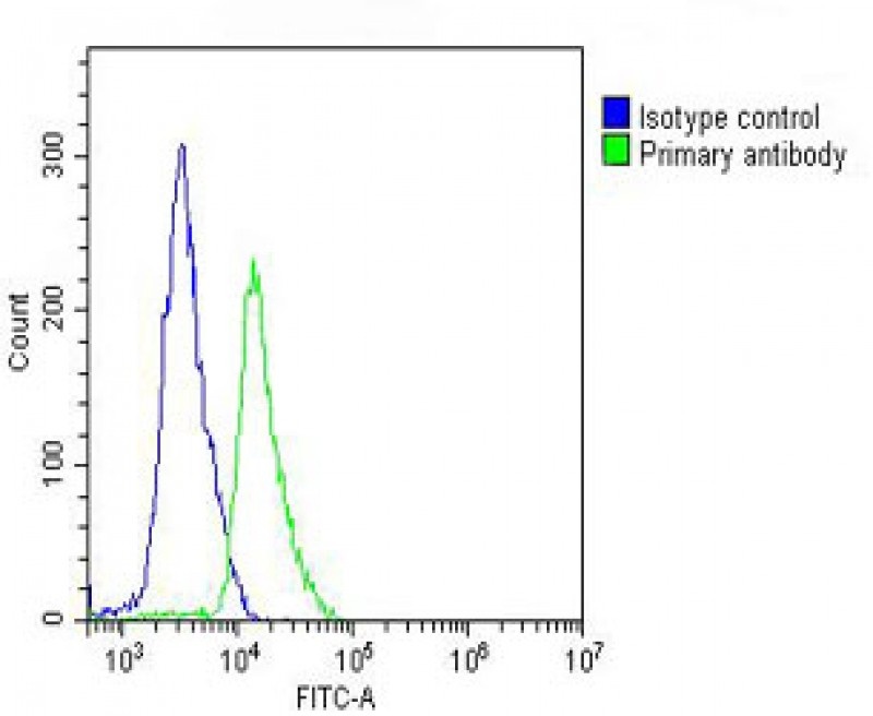 SELL Antibody