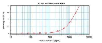 IGF-BP5 Antibody (biotin)