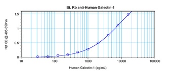 Galectin-1 Antibody (biotin)