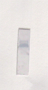 TGFb1 Antibody