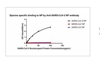 SARS-COV-2 Nucleocapsid Protein Antibody (biotin) [1B1A9]