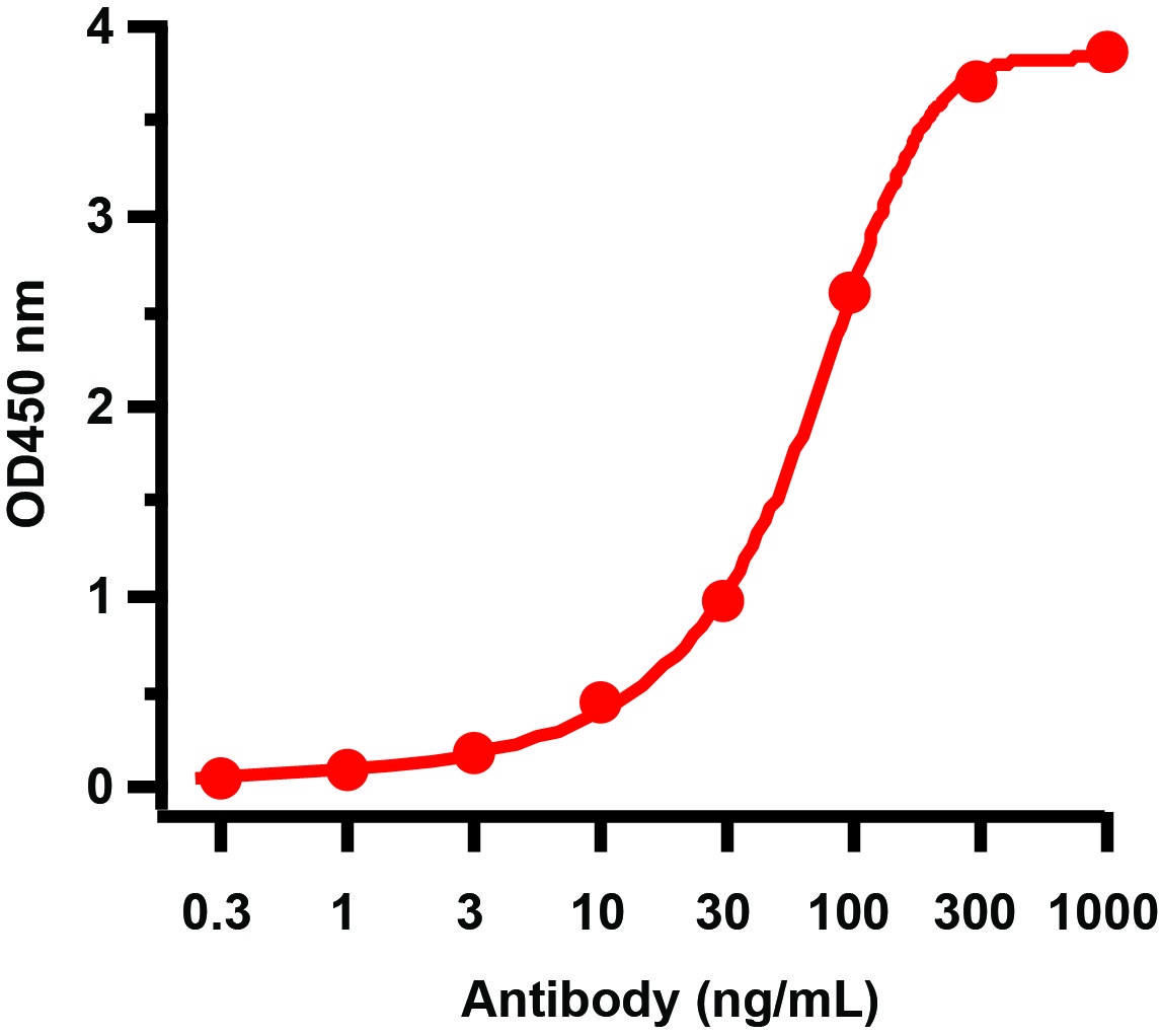 HIV-1 p24 Antibody [8A1A6]