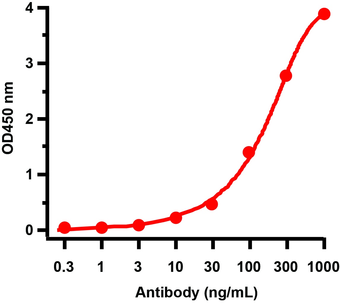 HIV-1 p24 Antibody [2F1A8] (biotin)