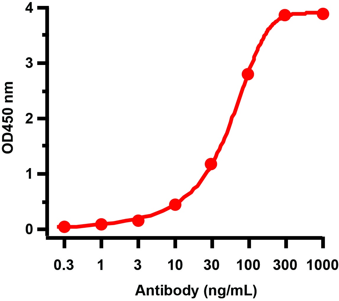 HIV-1 p24 Antibody [2F11G1]