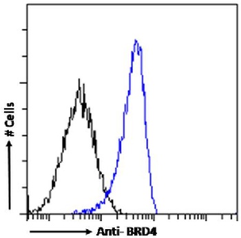 BRD4 Antibody [RAB-C131], Rabbit IgG