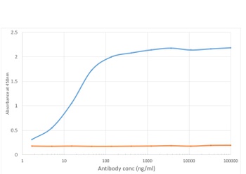 PD-1H Antibody [MH5A], Rabbit IgG