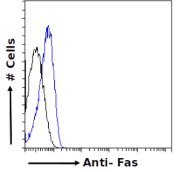 Fas Antibody [R-125224], Rabbit IgG