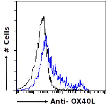 OX40L Antibody [R4930 (Oxelumab)], Rabbit IgG - Research Grade Biosimilar