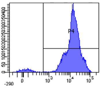CD11a Antibody [hu1124 (Efalizumab)], Rabbit IgG - Research Grade Biosimilar