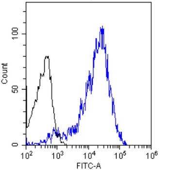 CD3 epsilon Antibody [YTH 12.5], Rabbit IgG