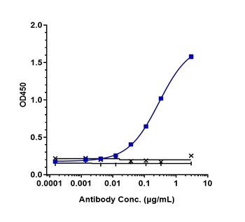 Anti-Endoglin / CD105 Reference Antibody (carotuximab-MMAE)