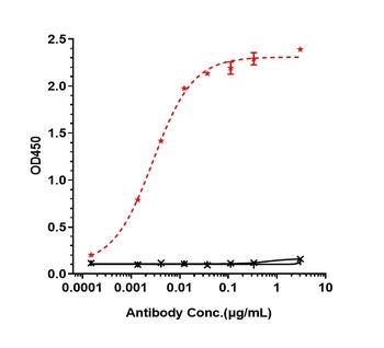 Anti-ROR1 Reference Antibody (zilovertamab vedotin)