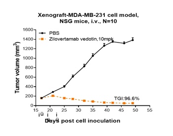 Anti-ROR1 Reference Antibody (zilovertamab vedotin)