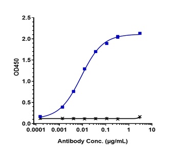 Anti-Siglec-2 / CD22 Reference Antibody (pinatuzumab vedotin)