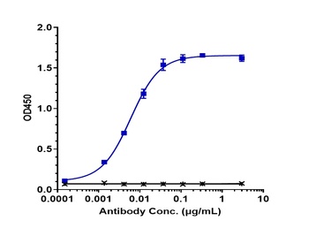 Anti-TNFRSF8 / CD30 Reference Antibody (brentuximab vedotin)