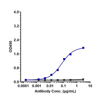 Anti-CLDN6 Reference Antibody (AB3-7)