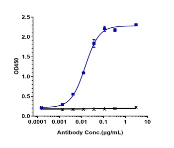 Anti-IFNAR1 Reference Antibody (Medarex patent anti-IFNAR-1)