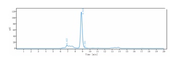 Anti-STEAP1 Reference Antibody (vandortuzumAb)