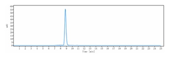 Anti-Amyloid Beta Reference Antibody (solanezumab)