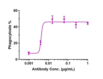Anti-CD47 Reference Antibody (lemzoparlimab)