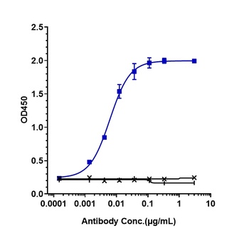 Anti-CD38 Reference Antibody (isatuximab)
