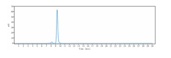 Anti-GDF8 / Myostatin Reference Antibody (apitegromab)