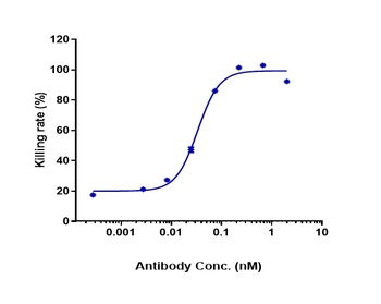 Anti-TREM1 / CD354 Reference Antibody (PY159)