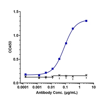 Anti-TNFSF7 / CD27L / CD70 Reference Antibody (cusatuzumab)