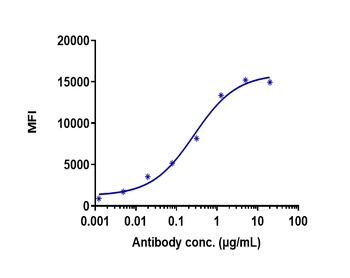 Anti-TNFSF7 / CD27L / CD70 Reference Antibody (cusatuzumab)